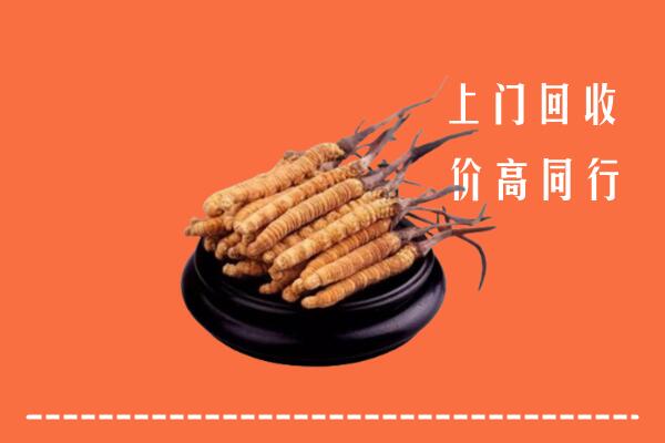 宜章县回收散虫草