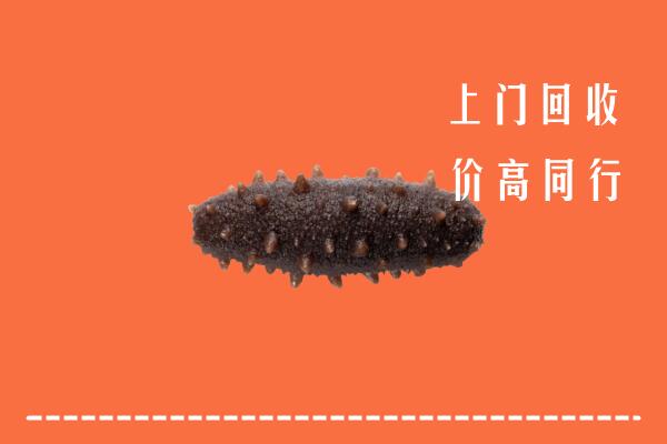 宜章县高价回收海参