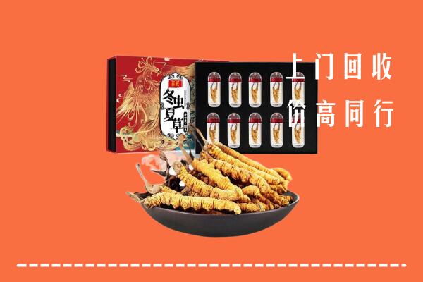 收购行情：宜章县回收虫草